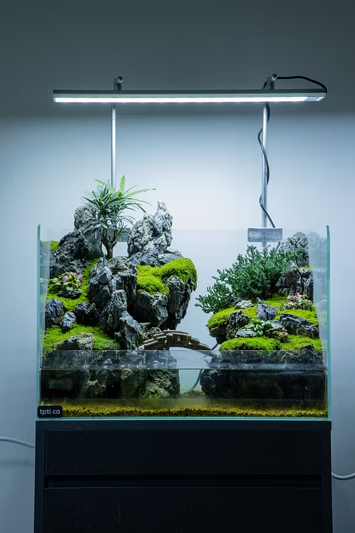 Aqua Terrarium #9