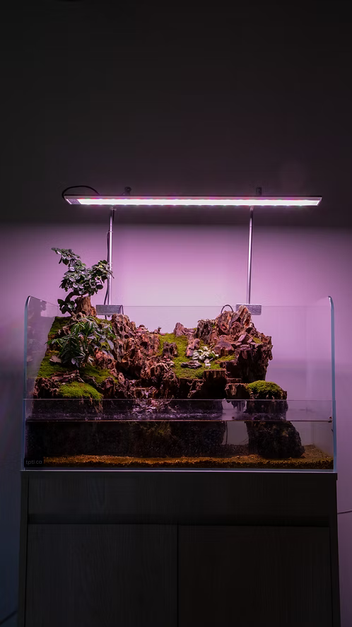 Aqua Terrarium #2