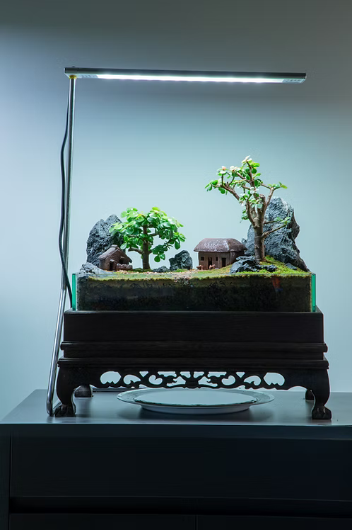 aqua terrarium plants Aqua Terrarium #8 – zforcefarm