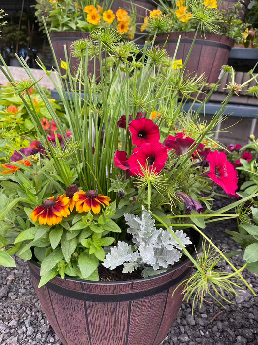 Annual Flowers Basket