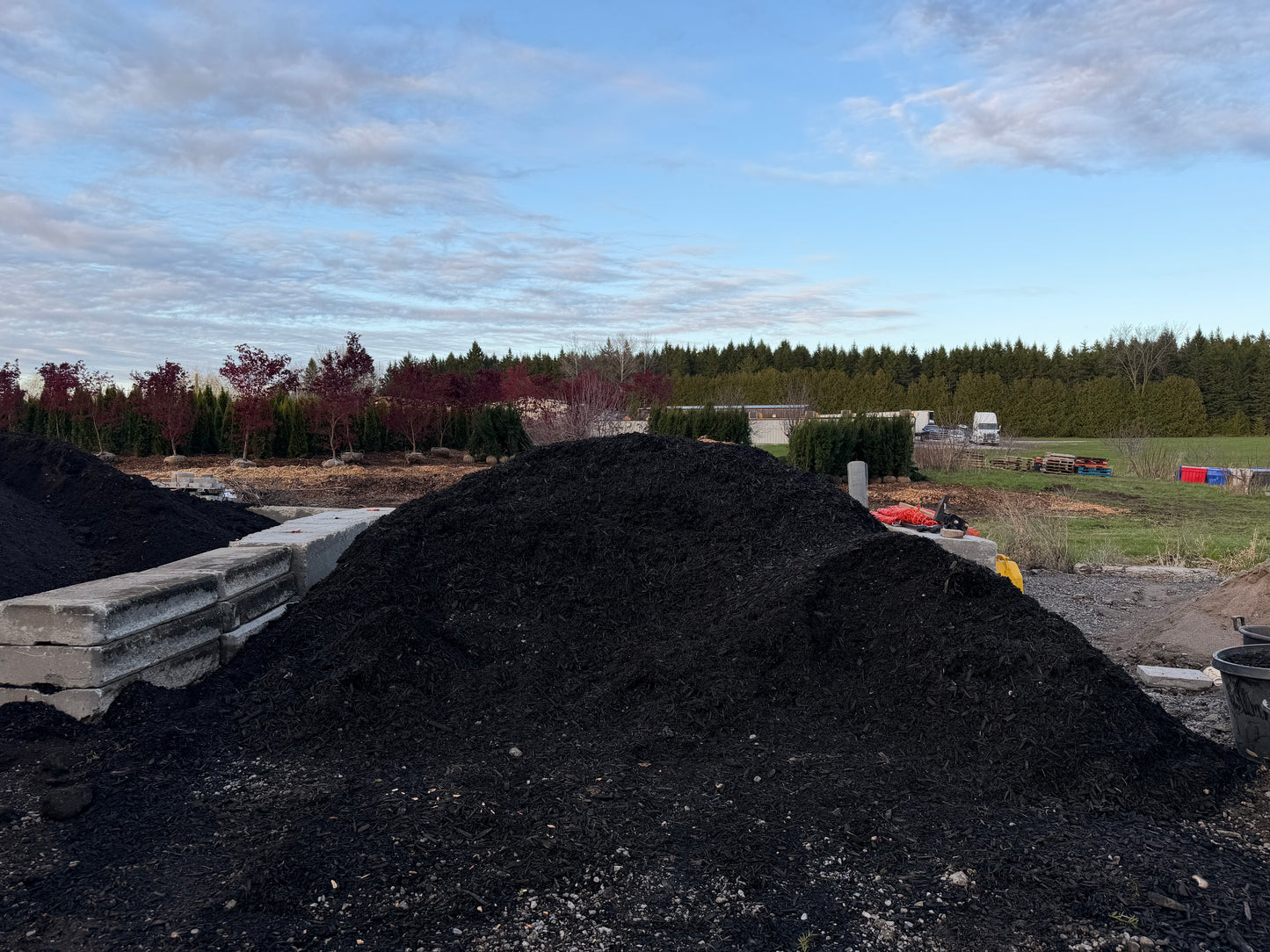 Black Mulch