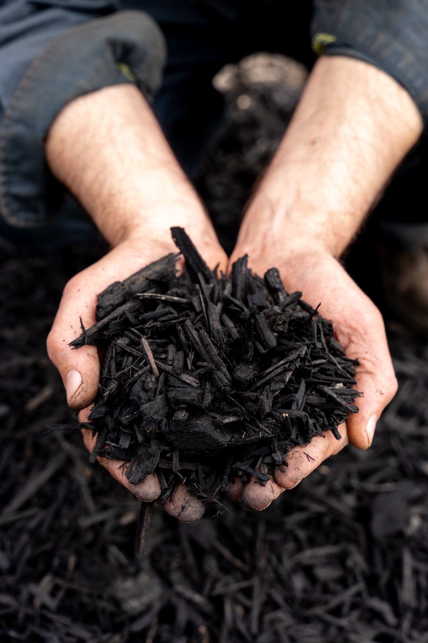 Black Mulch