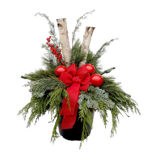 Winter Porch Pot 'Birch' Red