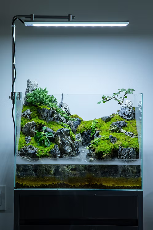 Aqua Terrarium #7