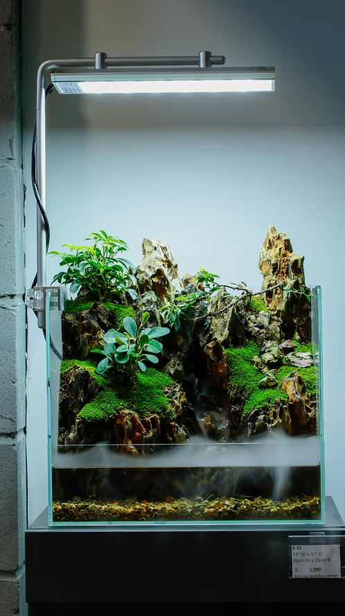 Aqua Terrarium #5