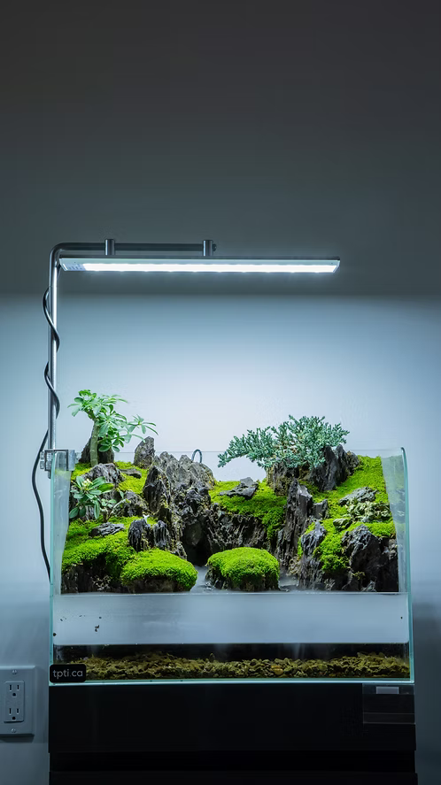 Aqua Terrarium #3