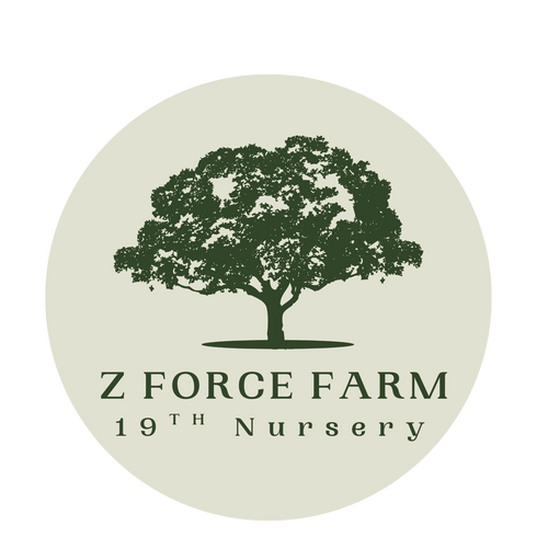  Z Force Farm 19th Nursery with a green tree on a beige background