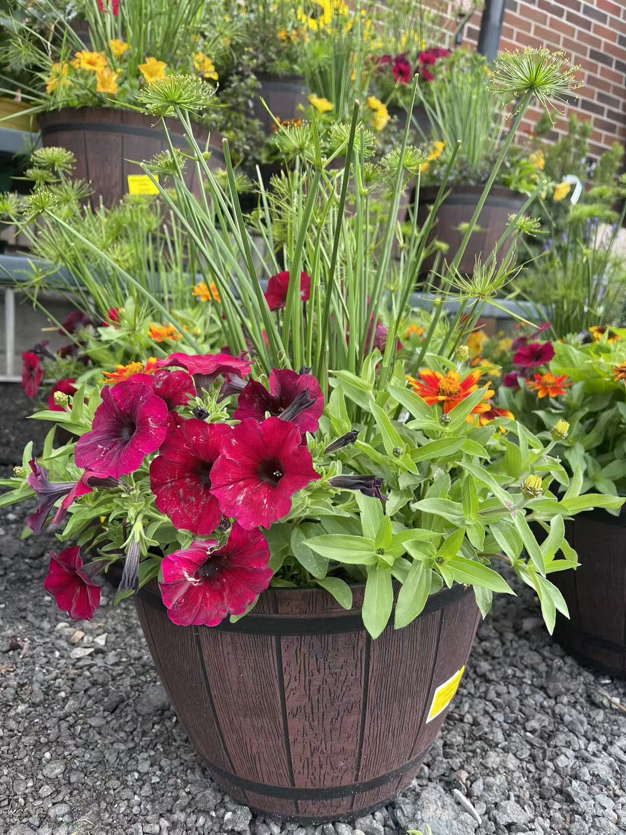 Annual Flowers Basket