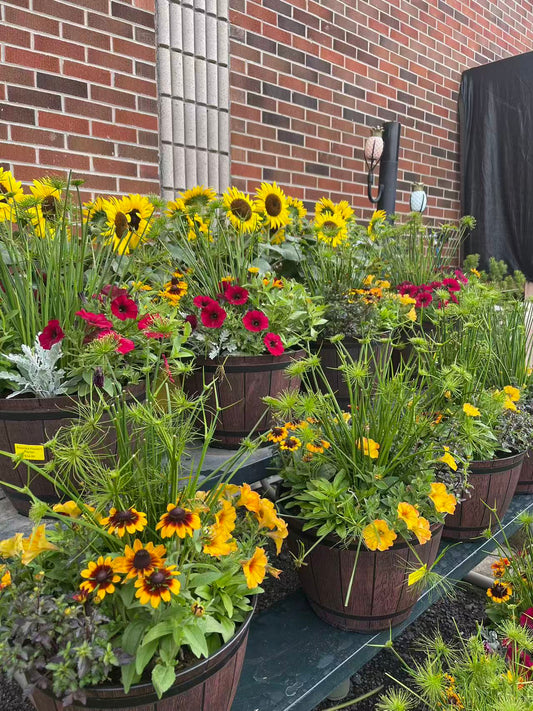 Annual Flowers Basket