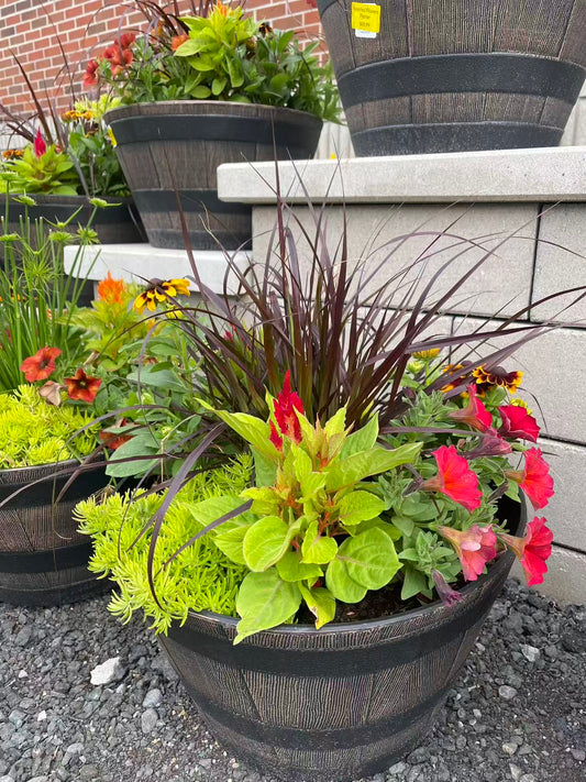 Annual Flowers in Whisky Barrel