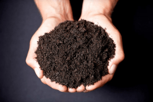 Premium Triple Mix Soil