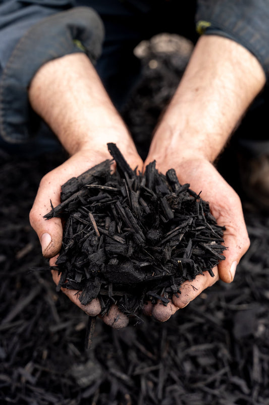 Black Mulch