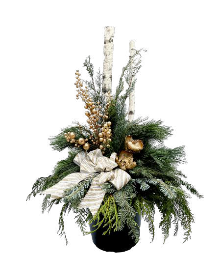Winter Porch Pot 'Birch' Gold