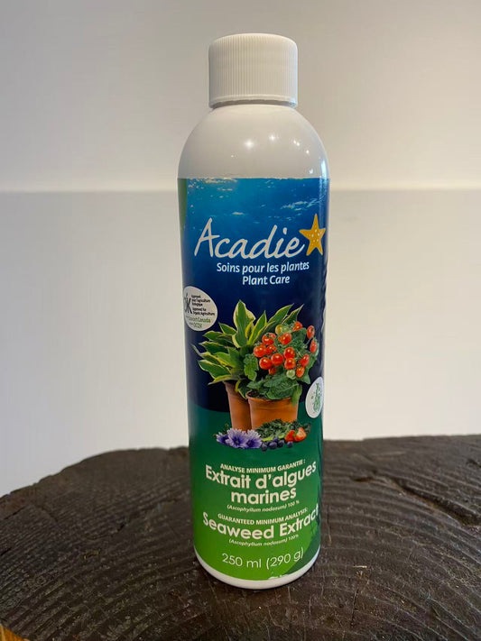 Liquid Fresh Seaweed Fertilizer